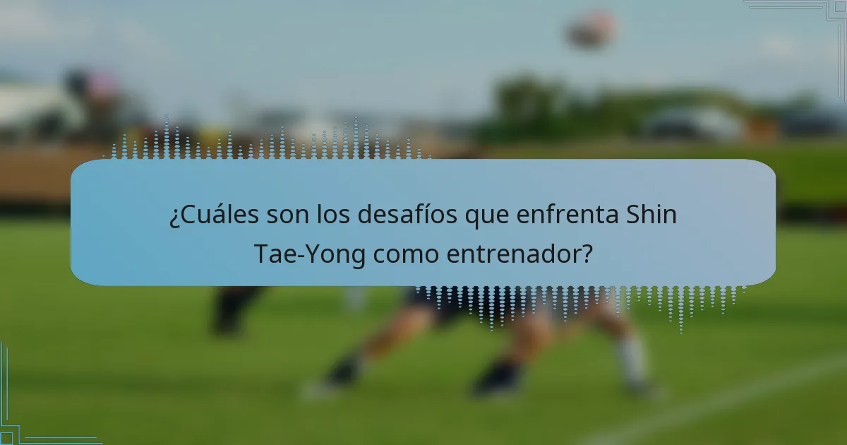 ¿Cuáles son los desafíos que enfrenta Shin Tae-Yong como entrenador?